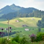 Exploring the Charms of Appenzell: A Guide to Activities and Attractions in Appenzell Innerrhoden