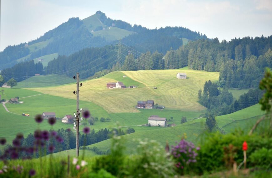 Exploring the Charms of Appenzell: A Guide to Activities and Attractions in Appenzell Innerrhoden