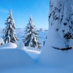 Winter Wonderland in Schwellbrunn: Explore the Beauty of Appenzellerland