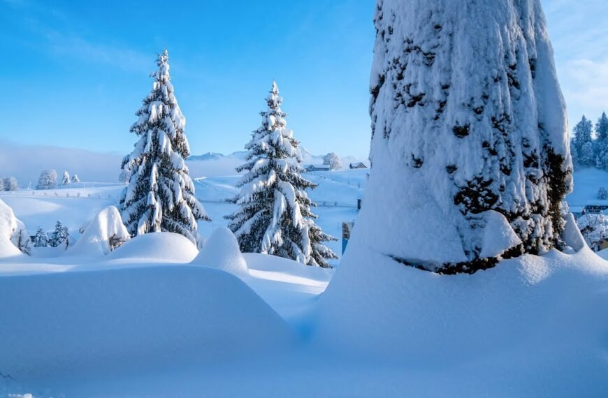 Winter Wonderland in Schwellbrunn: Explore the Beauty of Appenzellerland